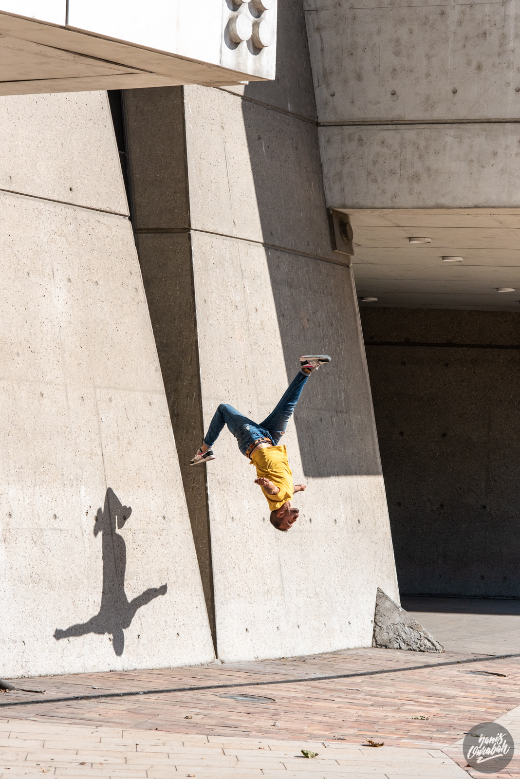 Picture of the project Le Mouvement Alchimique